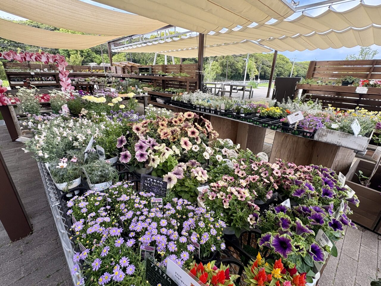 花き園芸と工芸雑貨のお店higoro