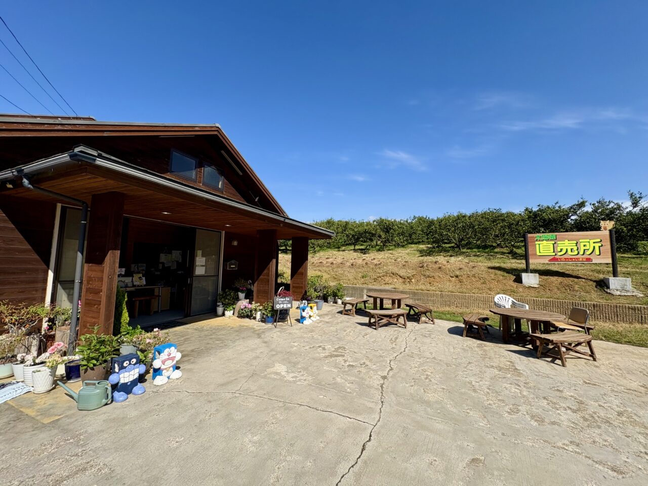 みかん農園「太陽園」