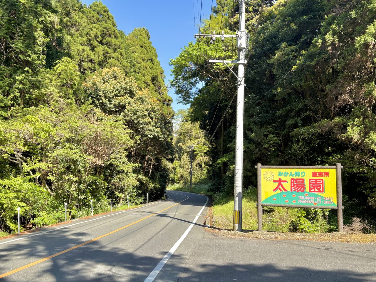 みかん農園「太陽園」