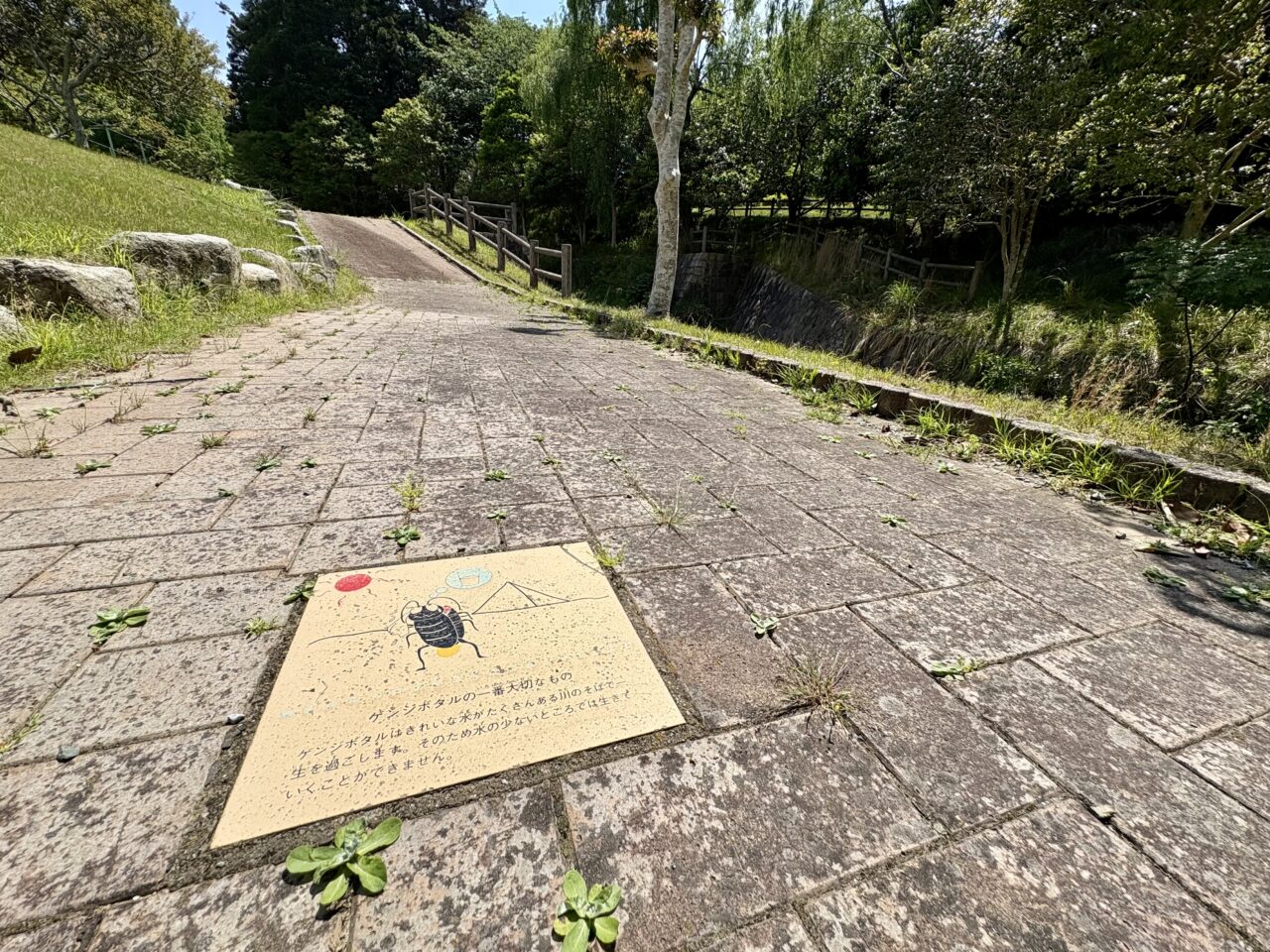 福津市 ホタルの里