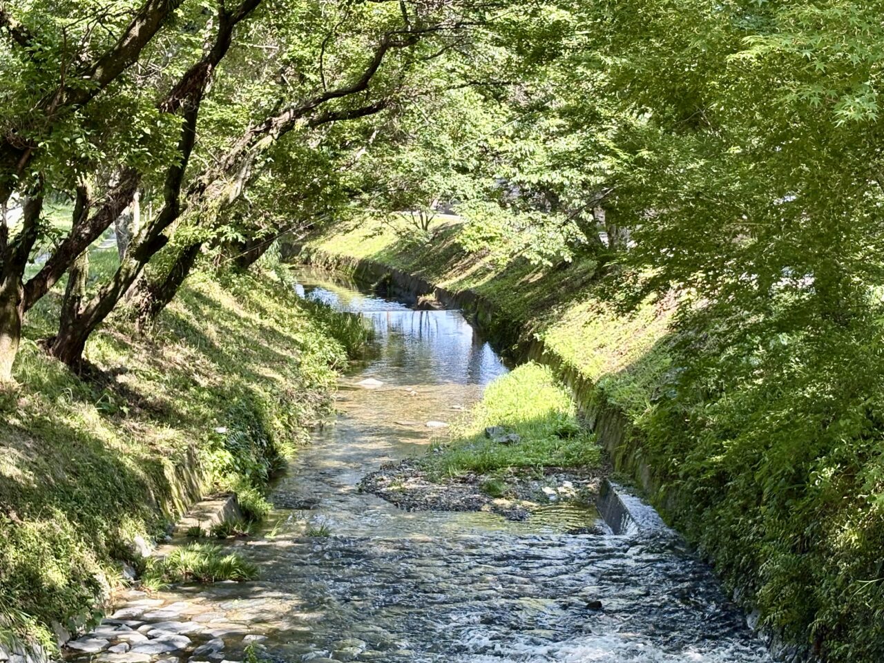 古賀市 清滝地区
