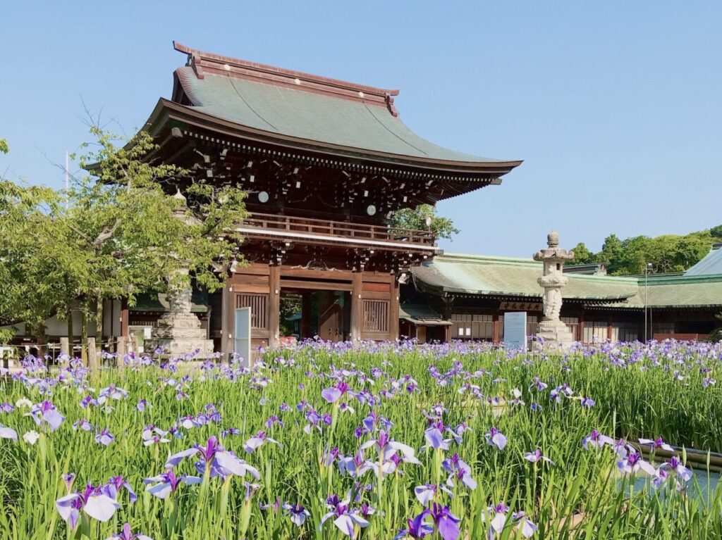 宮司嶽神社 菖蒲まつり