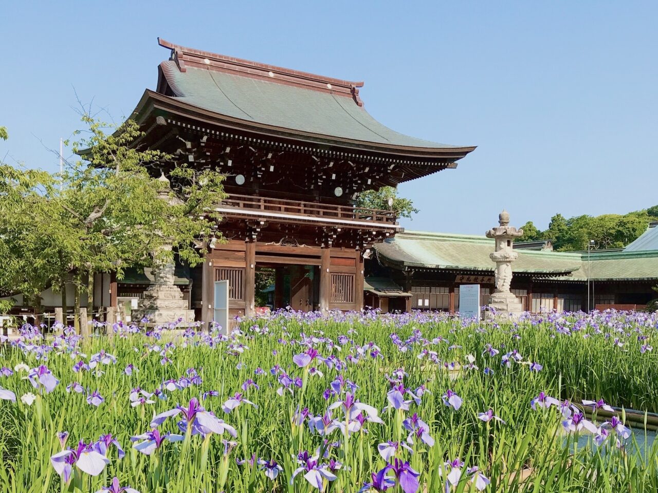 宮司嶽神社 菖蒲まつり
