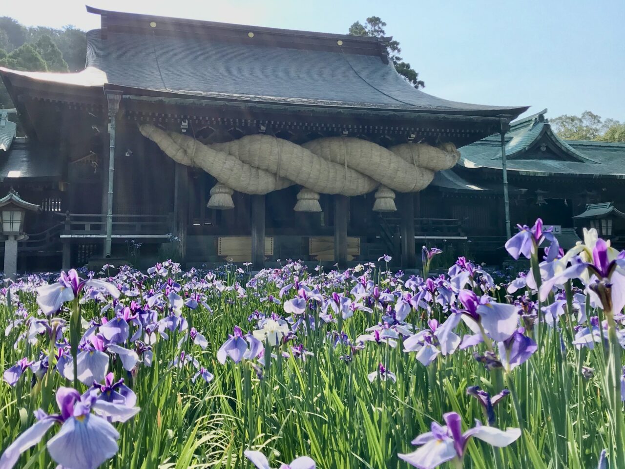 宮司嶽神社 菖蒲まつり
