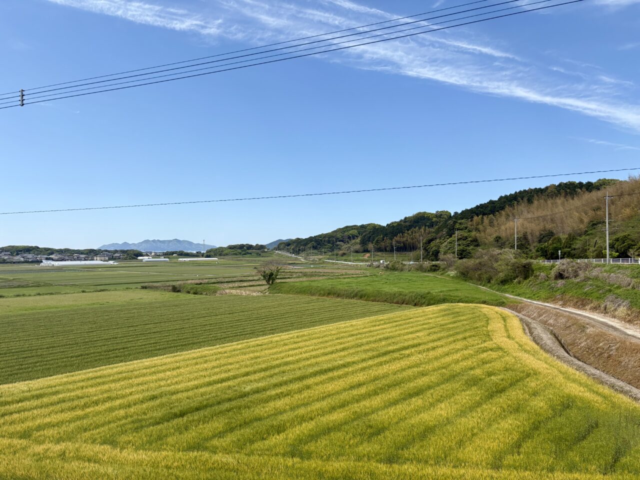 国道495号線