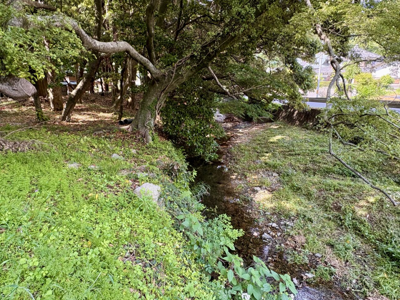 古賀市薬王寺