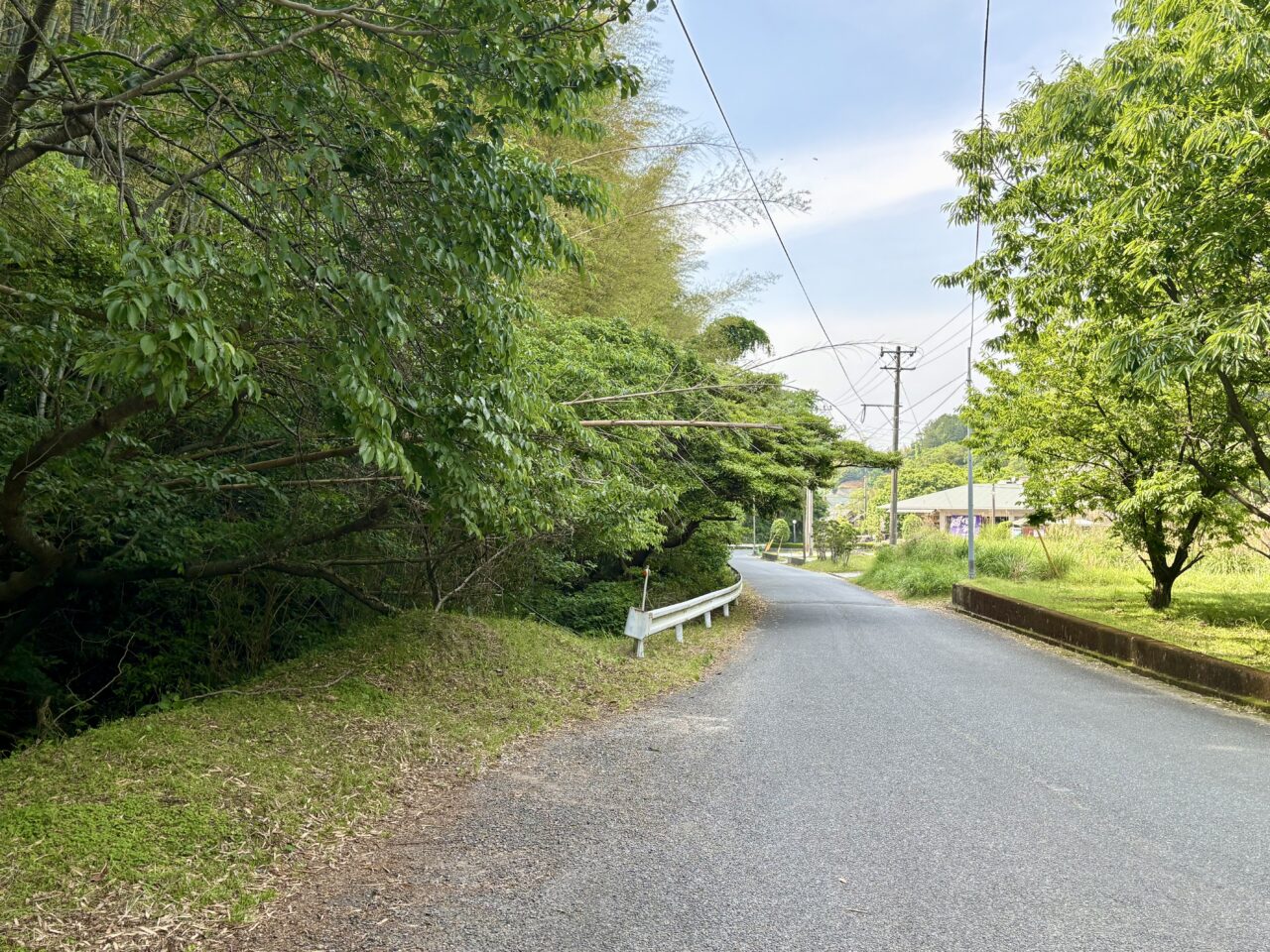 古賀市薬王寺