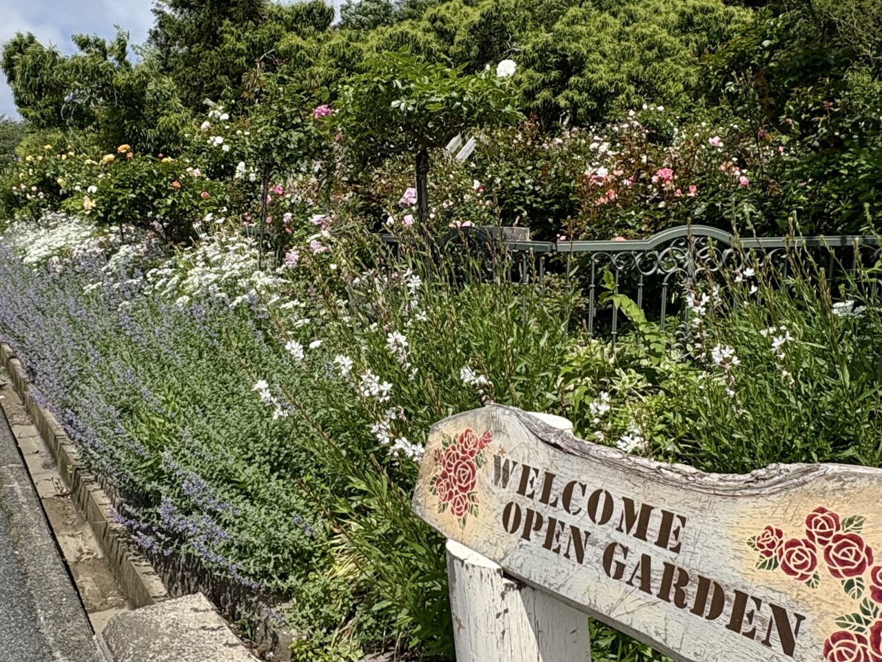 2025年5月 吉田家OPEN GARDEN
