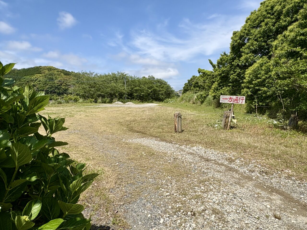 2025年5月 吉田家OPEN GARDEN