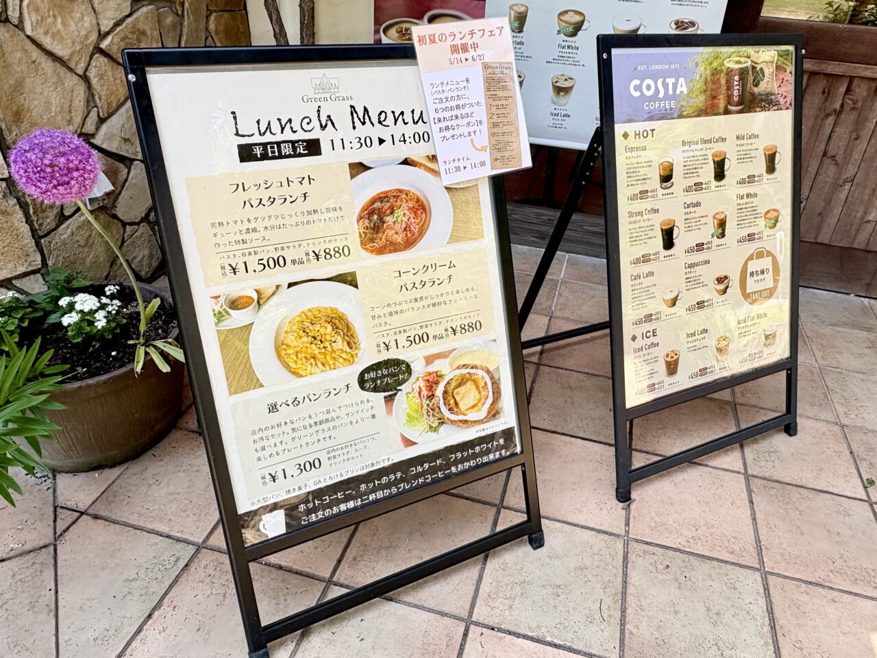 グリーングラス 初夏のランチ