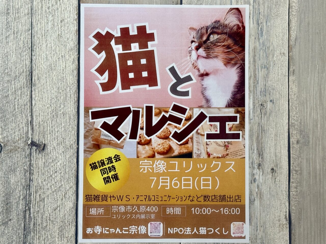 猫とマルシェ