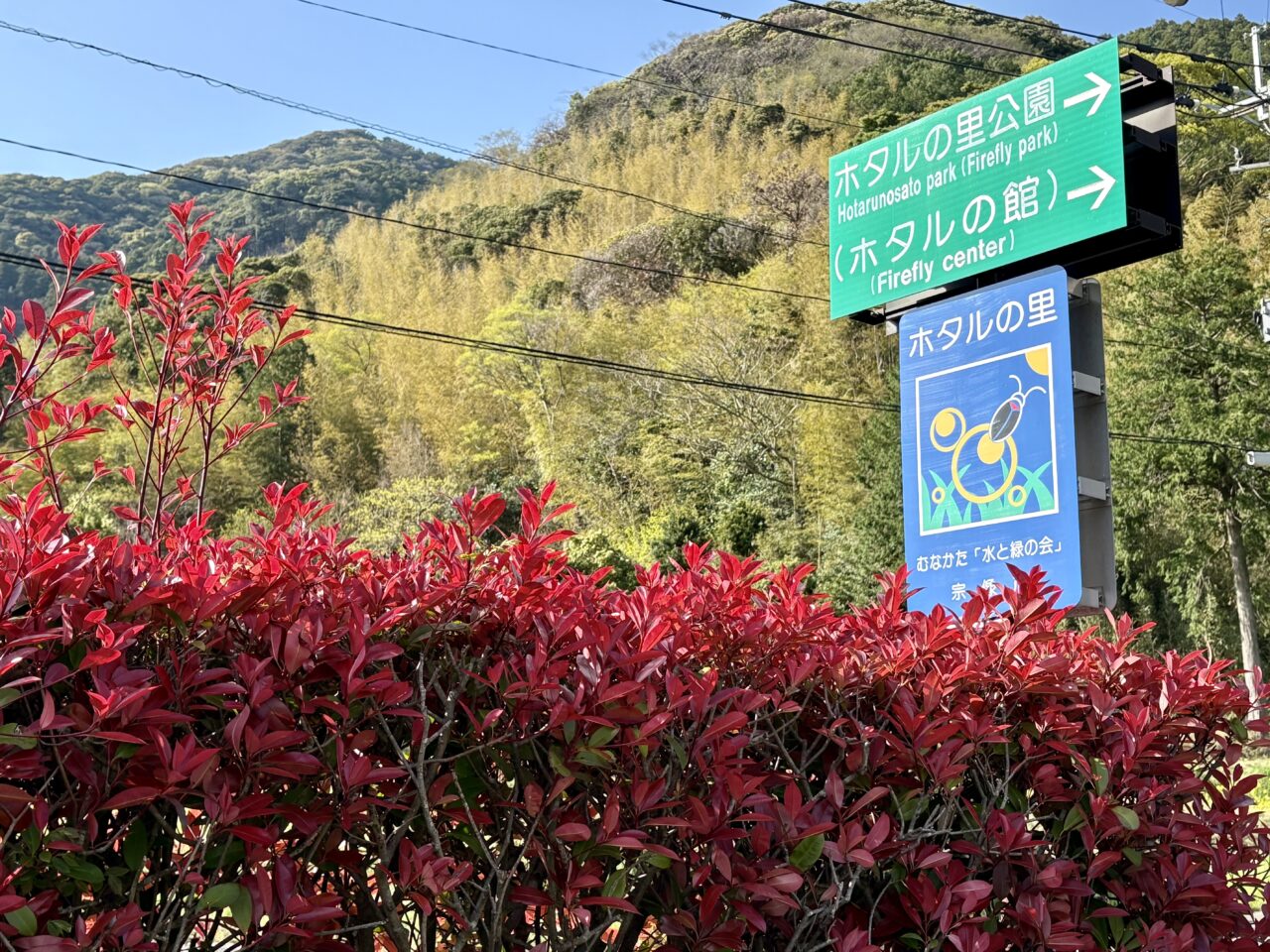 宗像ほたるの里公園