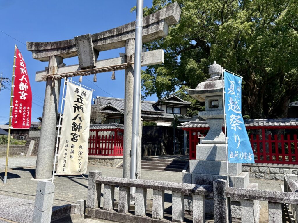 五所八幡宮 夏越祭り