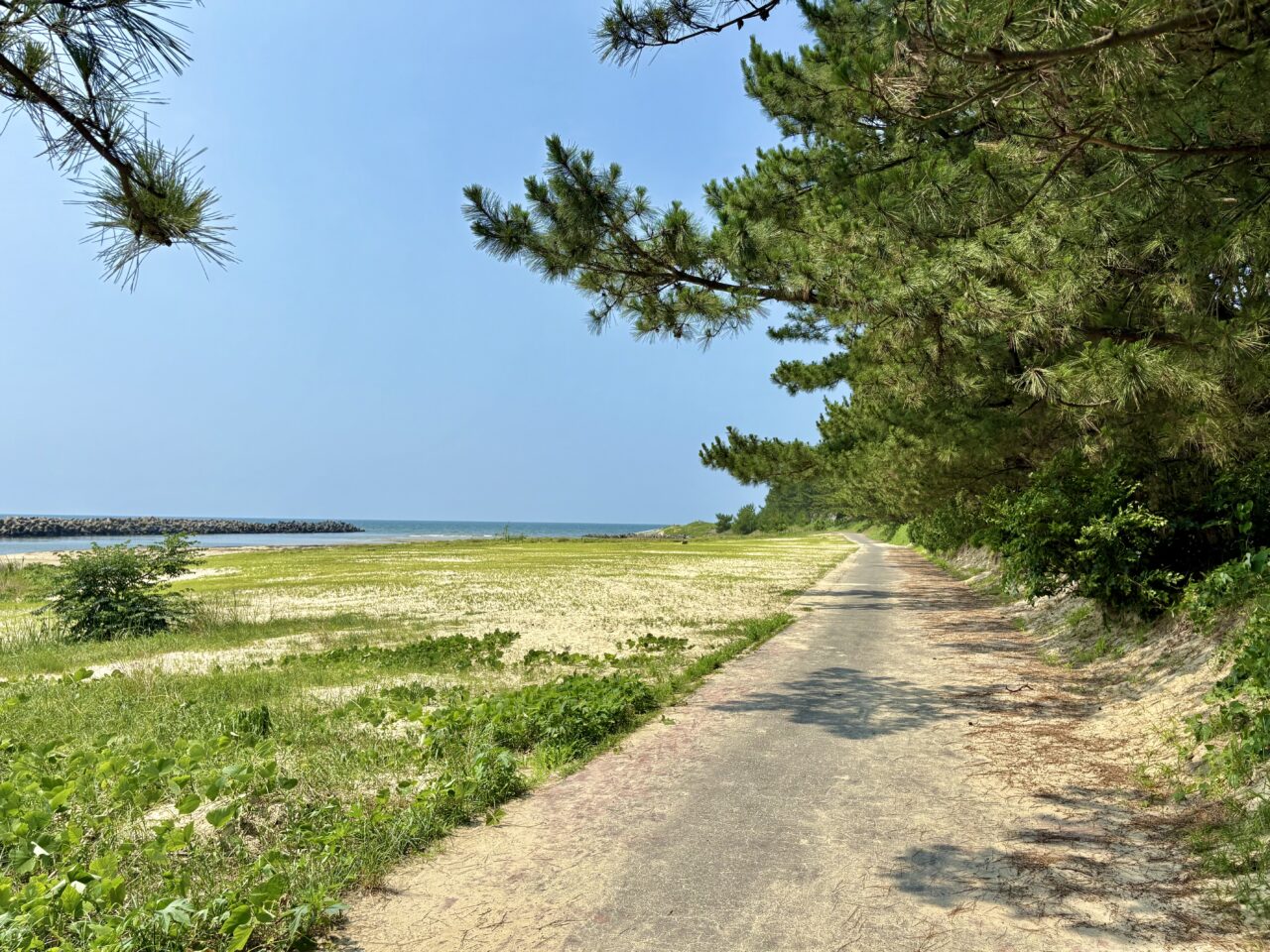 花鶴が浜公園