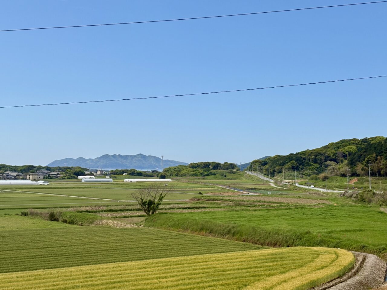 国道495号線