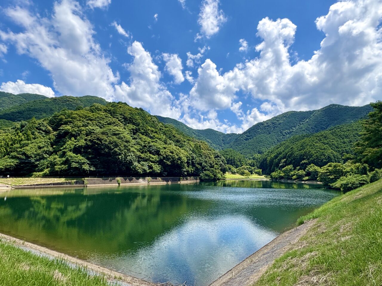 薬王寺水辺公園