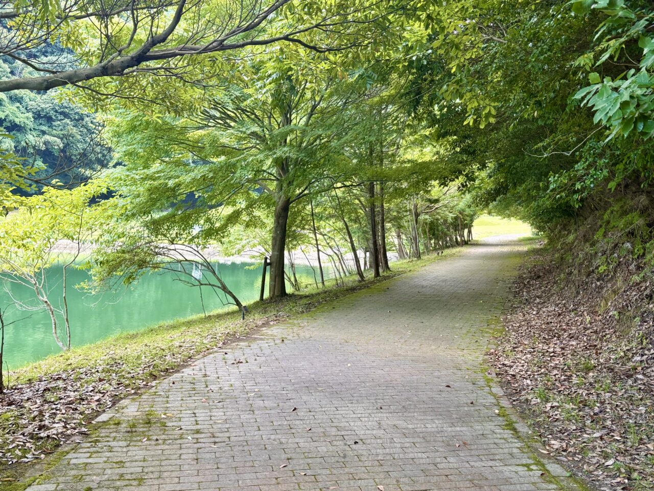 yakuojimizubepark35