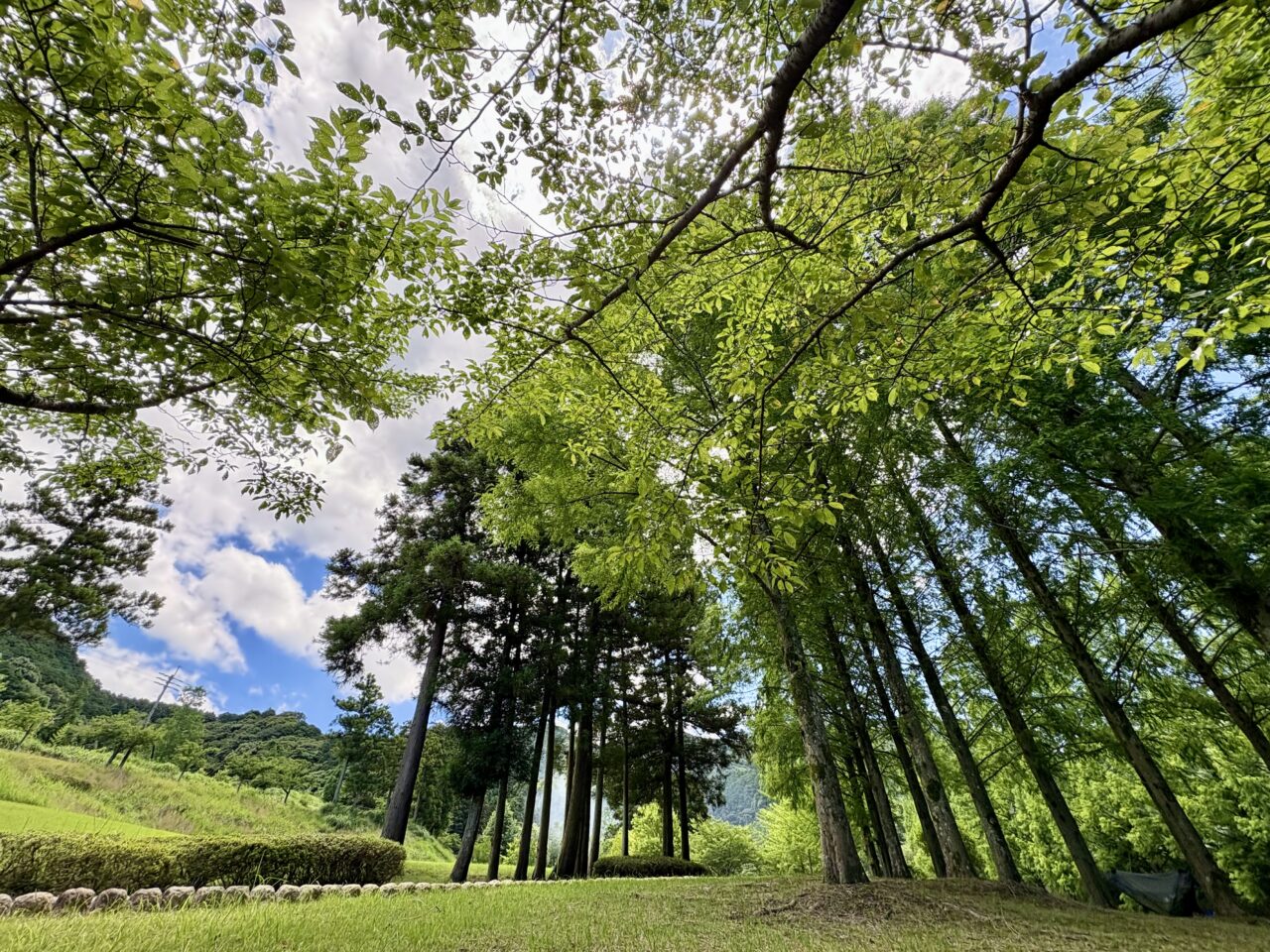 本木川自然公園 ほたるの里