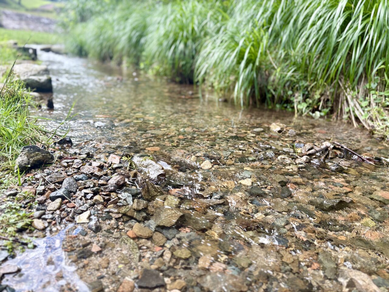 本木川自然公園 ほたるの里