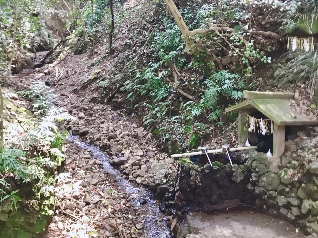 宗像大島 中津宮 天の川