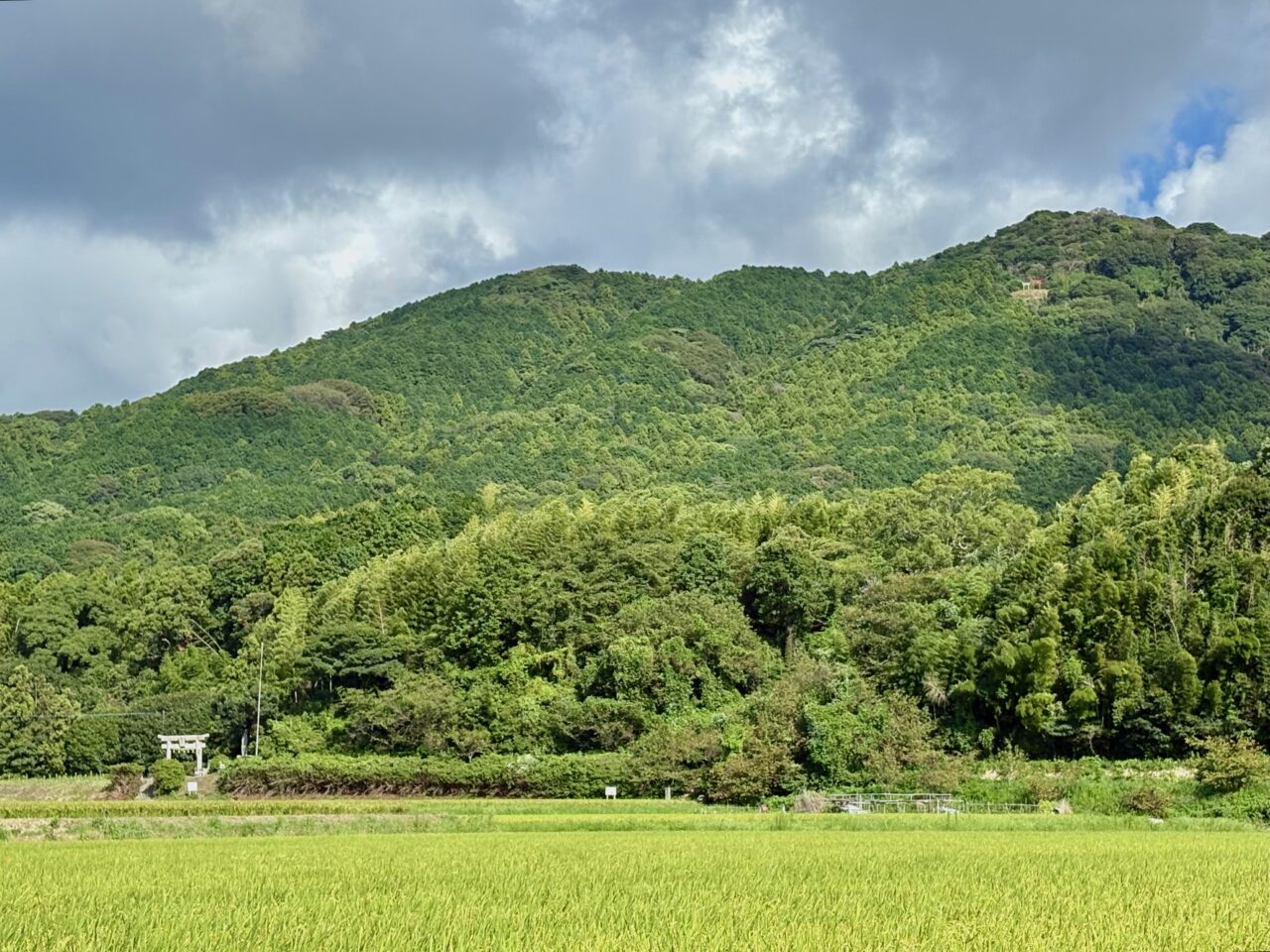 金刀毘羅神社と在自山
