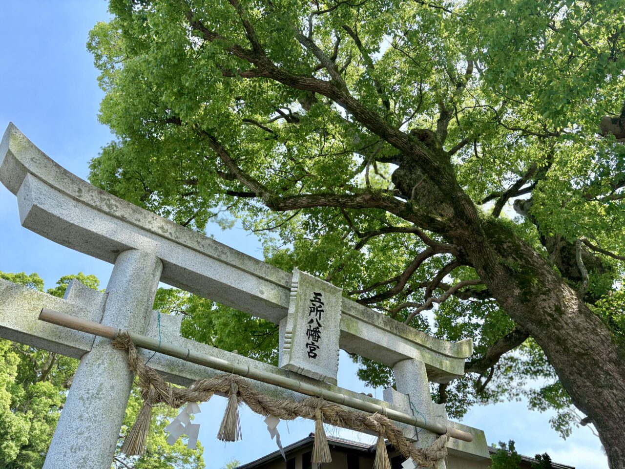 五所八幡宮