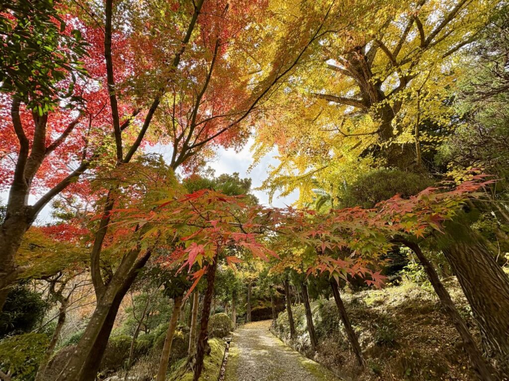 古賀市米多比「興山園」