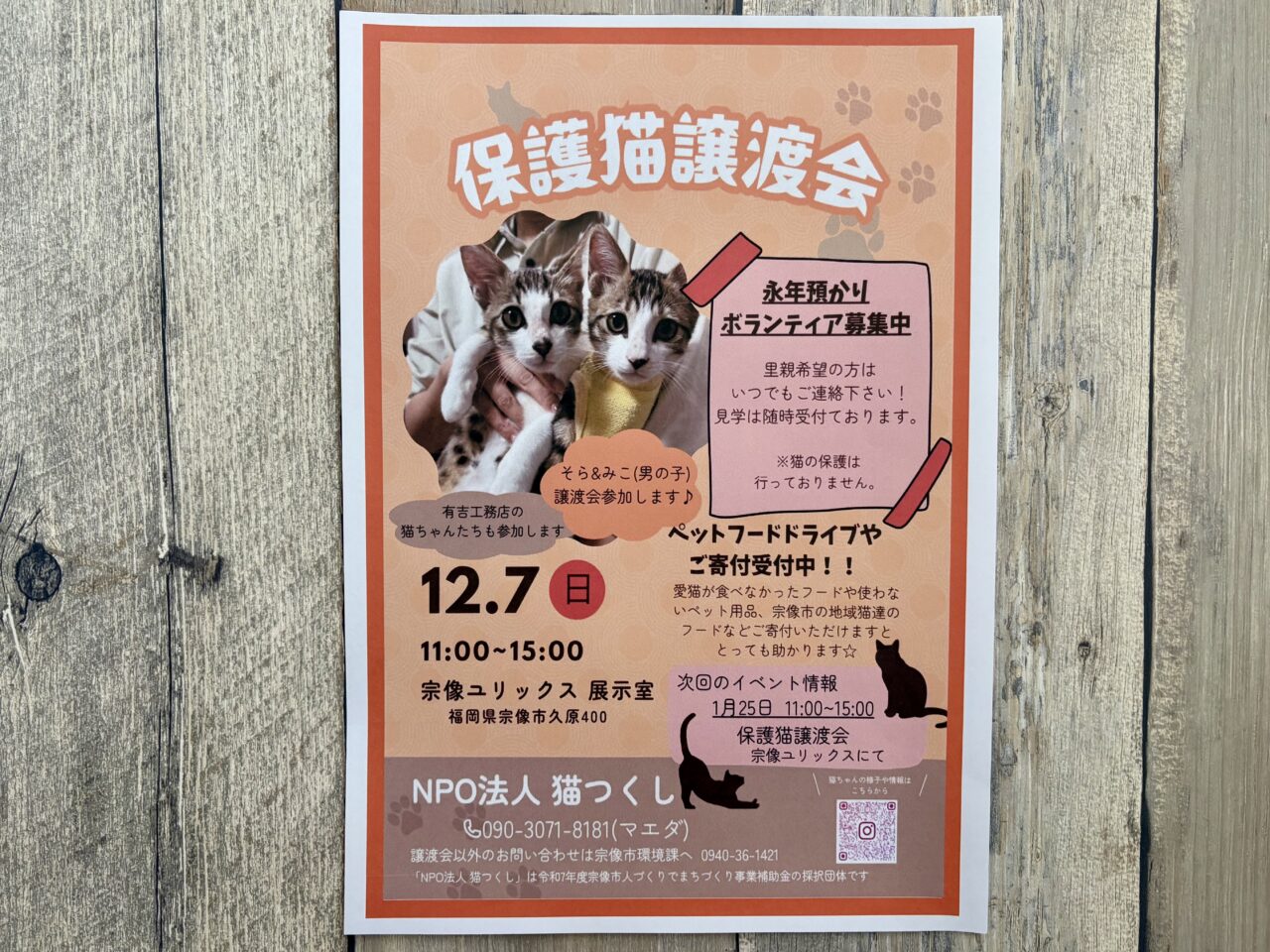 2025年12月 NPO法人猫つくし「保護猫譲渡会」